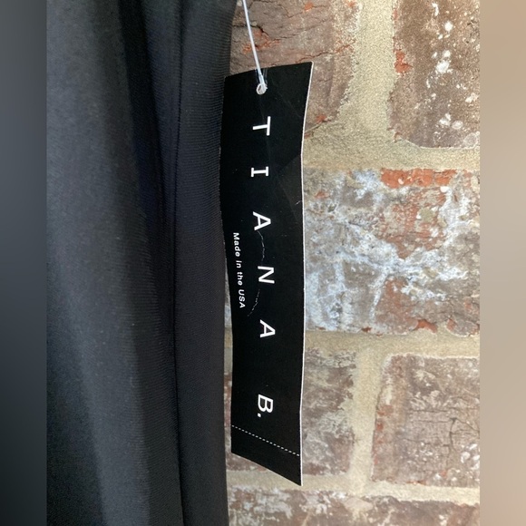 Tianna B Color Block Dress Black Mint Cream Size 18 NWT - Picture 4 of 9